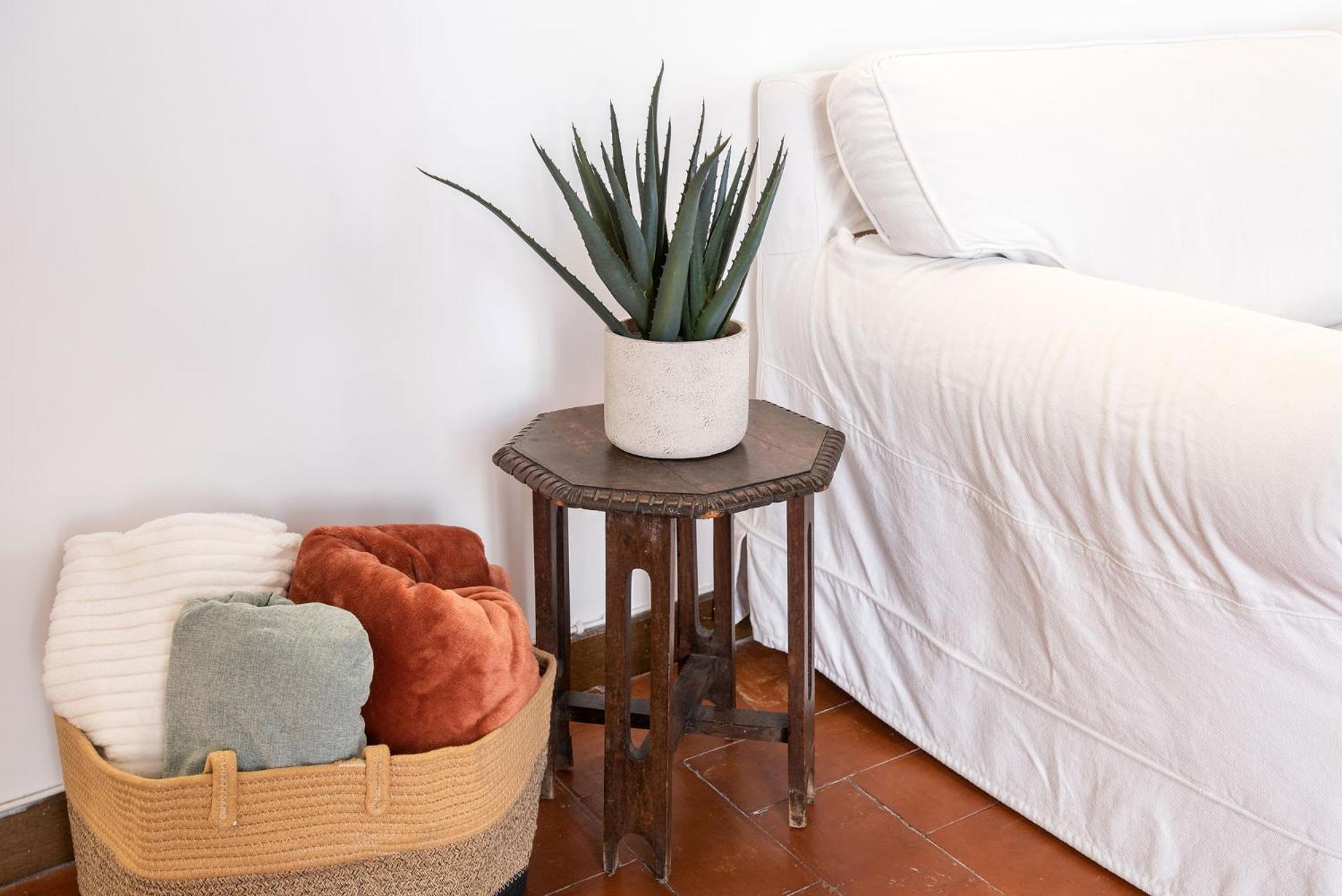 Barchetta Loft